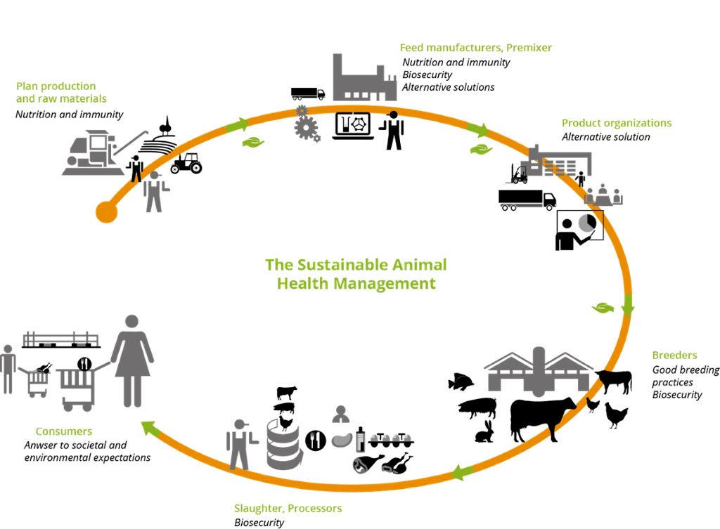 sustainable animal health management