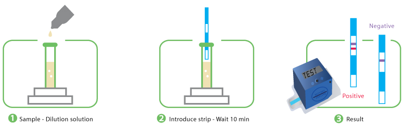 Procedure IC BOVINO ZEULAB