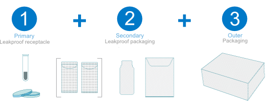 Medimail SafetyWay Triple Packaging