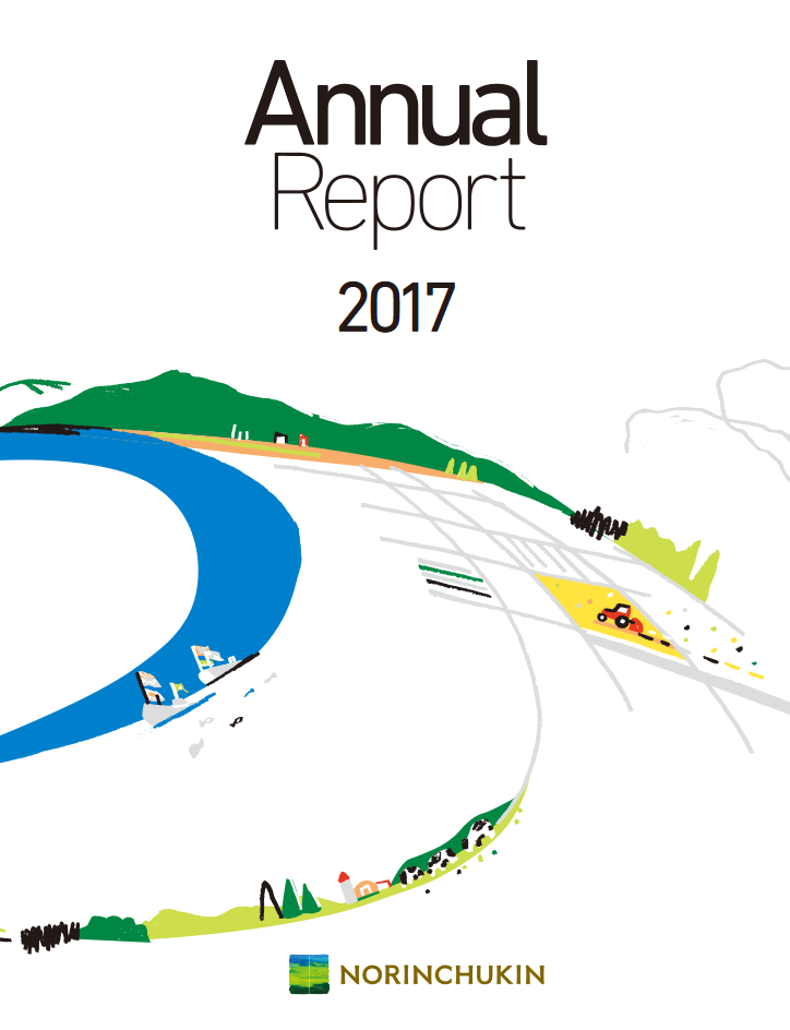 Company annual report on sale 2017