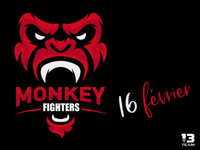 Monkey Fighters