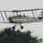 Avions de légendes au Piper Club