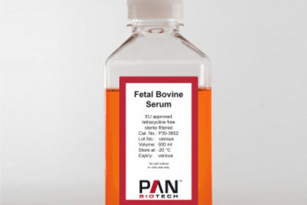 Fetal Bovine Serum