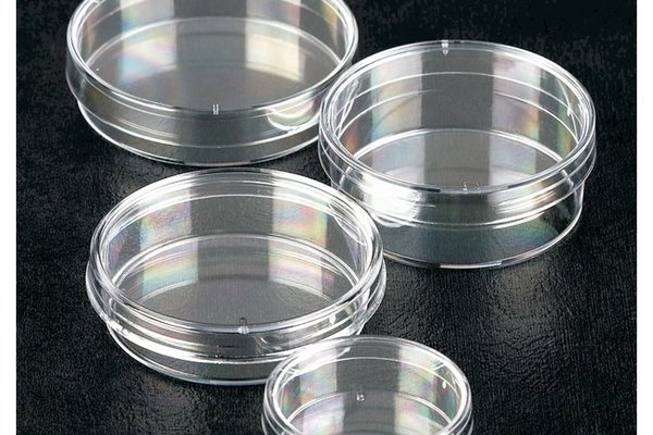 Petri dish 50mm