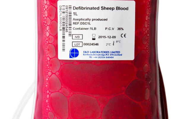 Gedefibrineerd schapenbloed