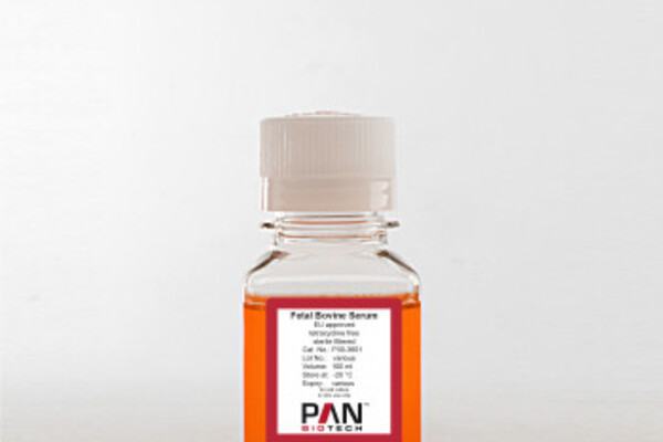 Fetal Bovine Serum
