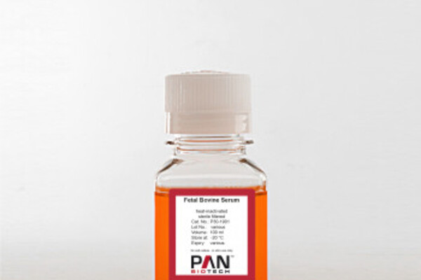 Fetal Bovine Serum