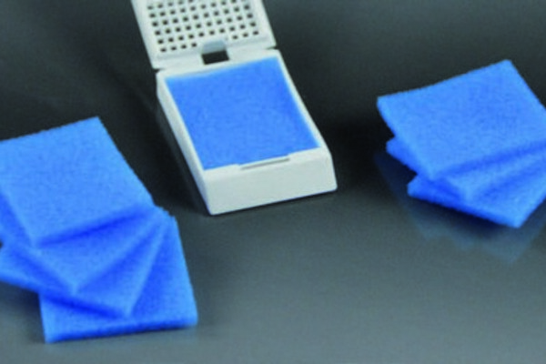 Biopsy pads