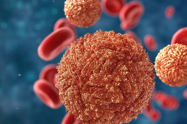 Bacteriology and Infectious Diseases Congress