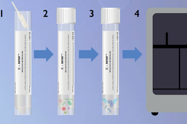 Sigma-MM Molecular Medium