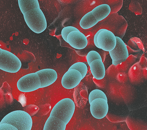 ImmuLex™ S. pneumoniae Omni