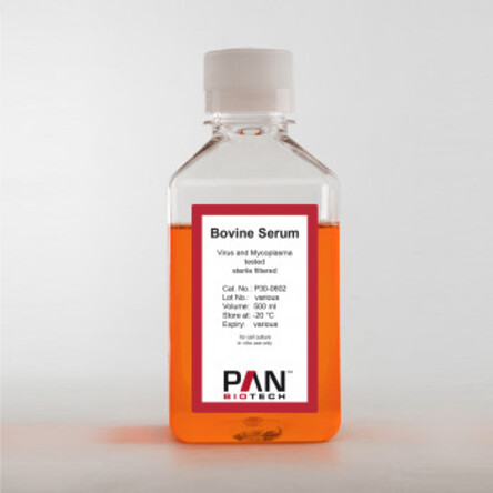 Fetal Bovine Serum