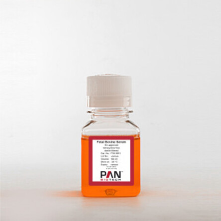 Fetal Bovine Serum