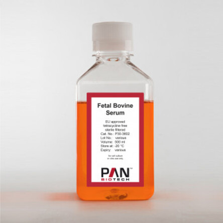 Fetal Bovine Serum
