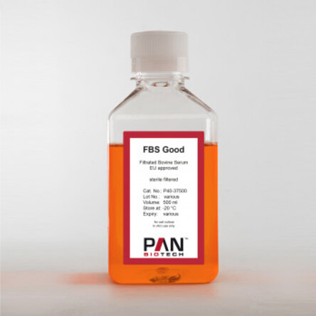 Fetal Bovine Serum