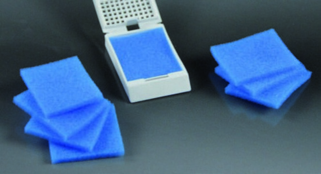 Mousse pour cassettes biopsie