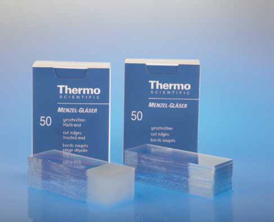 Microscope Slides