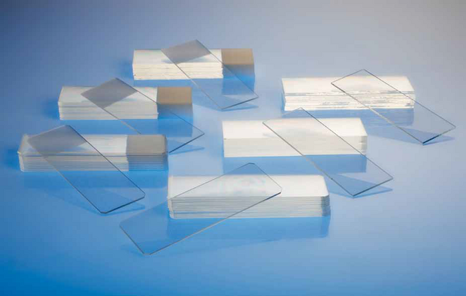 Microscope Slides