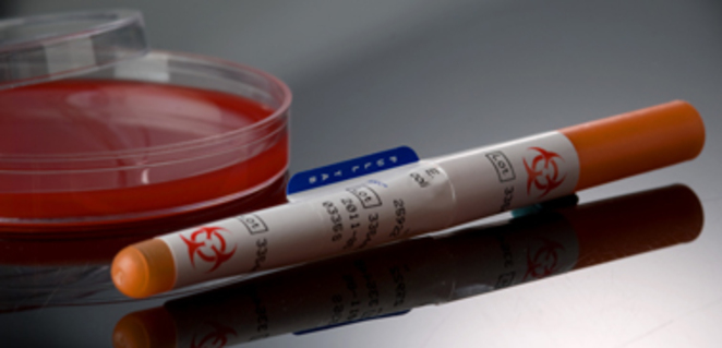 Kwik Stik for resistance strains