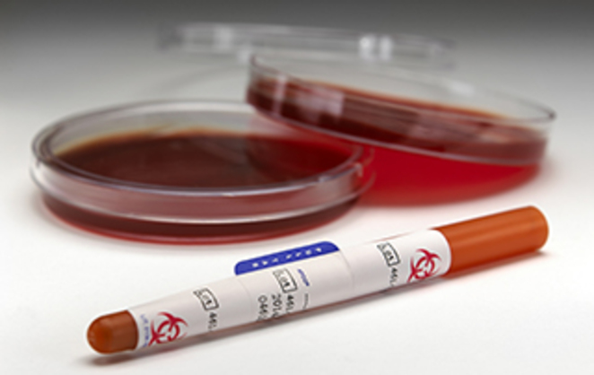 Kwik Stik for resistance strains