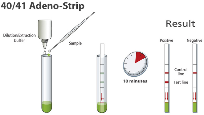 Adeno 40/41 strip