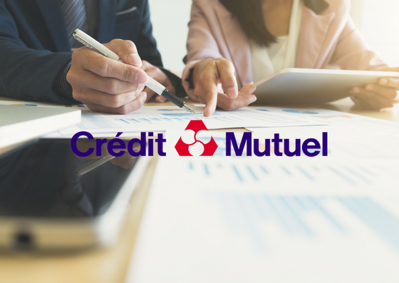 Crédit Mutuel's results for the year 2016