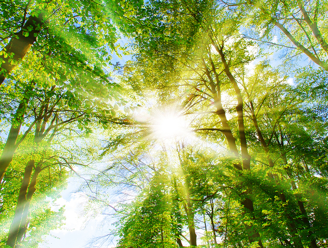 EACB feedback on the TEG preliminary recommendations for an EU Green Bond Standard