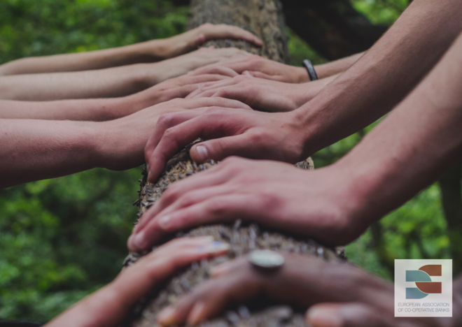 EACB response to the European Commission “Have your say” consultation on Corporate Sustainability Due Diligence proposal