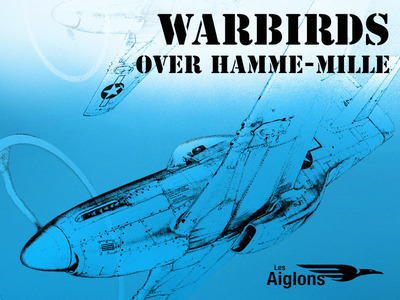 Warbirds over Hamme-Mille